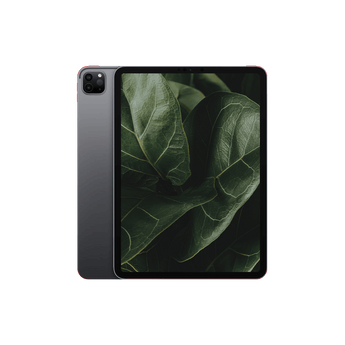 Begagnad iPad Pro 2 (2020) 11" Wi-Fi + 4G Rymdgrå