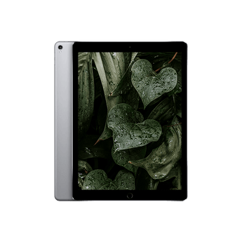 Begagnad iPad Pro 2 (2017) 12.9" Wi-Fi Rymdgrå