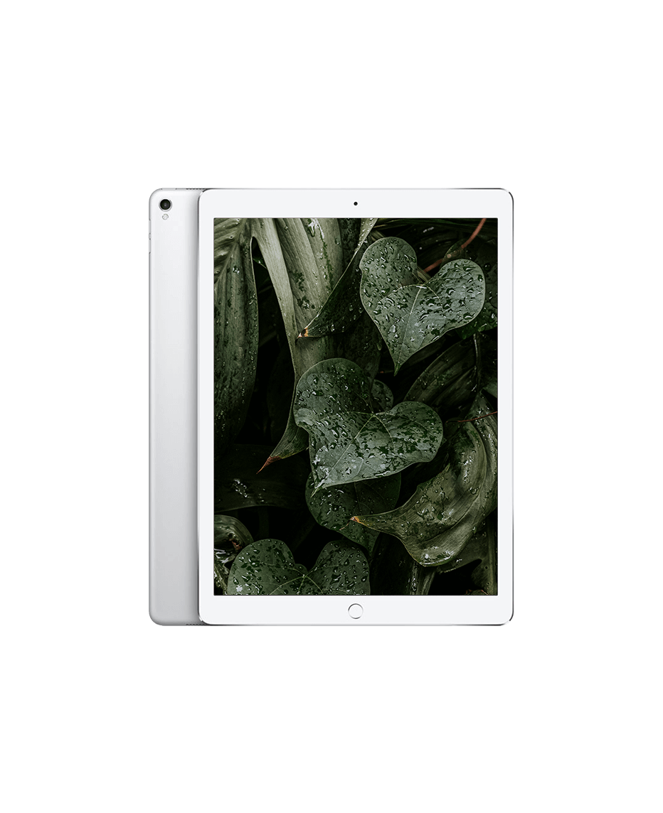 iPad Pro 2 (2017) 12.9" Wi-Fi + — Silver / / Nyskick