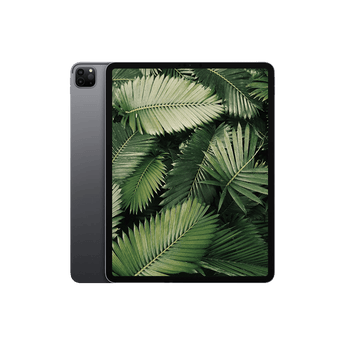 Begagnad iPad Pro 4 (2020) 12.9" Wi-Fi + 4G Rymdgrå