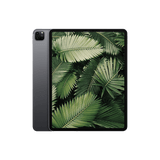 Begagnad iPad Pro 4 (2020) 12.9" Wi-Fi + 4G Rymdgrå