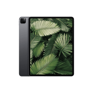 Begagnad iPad Pro 4 (2020) 12.9" Wi-Fi Rymdgrå