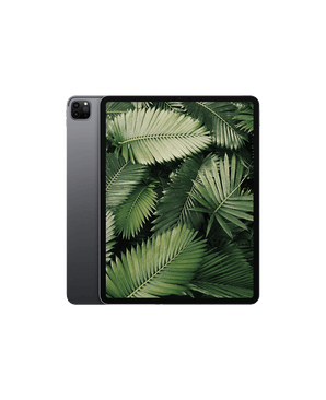 iPad Pro 4 (2020) 12.9" Wi-Fi