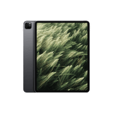 Begagnad iPad Pro 5 (2021) 12.9" Wi-Fi Rymdgrå