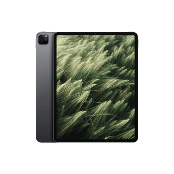 Begagnad iPad Pro 5 (2021) 12.9" Wi-Fi Rymdgrå