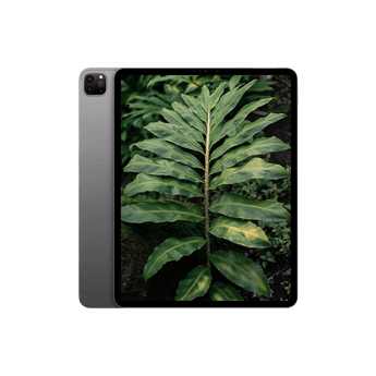 Begagnad iPad Pro 6 (2022) 12.9" Wi-Fi + 5G Rymdgrå