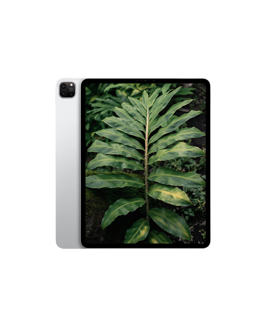 iPad Pro 6 (2022) 12.9" Wi-Fi — Silver / / Nyskick