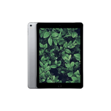 Begagnad iPad Pro 1 (2016) 9.7" Wi-Fi Rymdgrå