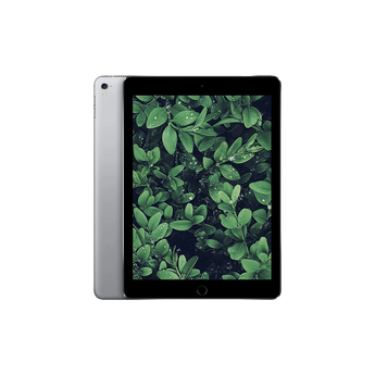 Begagnad iPad Pro 1 (2016) 9.7" Wi-Fi + 4G Rymdgrå
