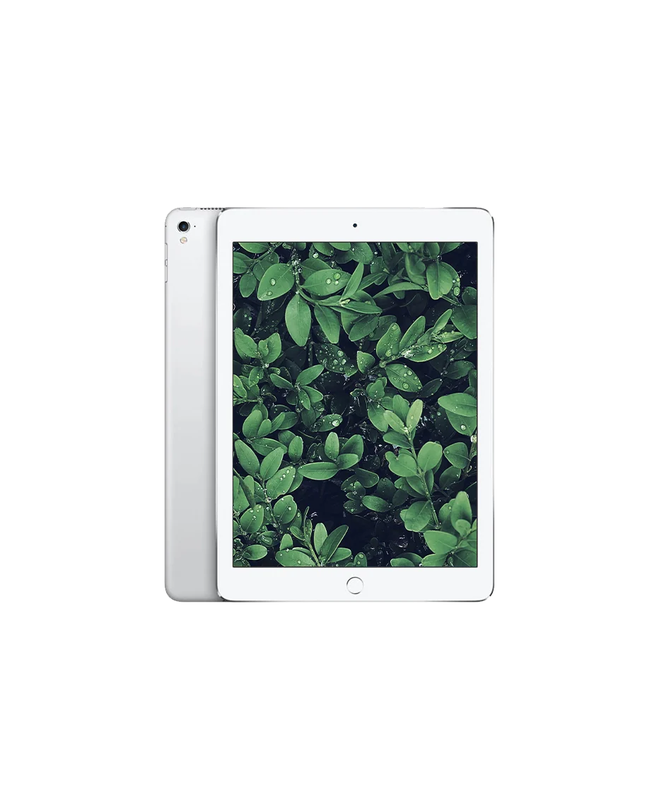 iPad Pro 1 (2016) 9.7" Wi-Fi + — Silver / / Nyskick