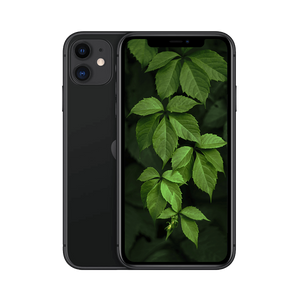 Begagnad iPhone 11 Svart