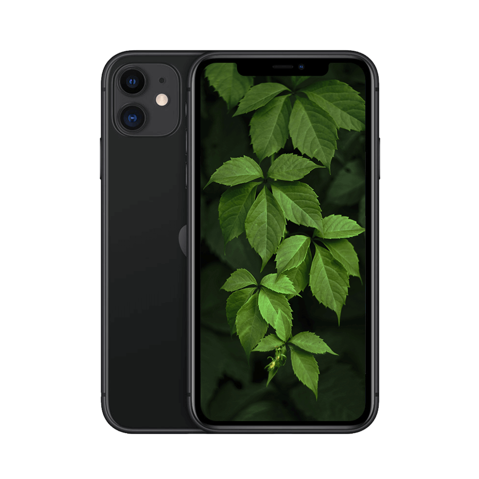 iPhone 11 — Svart / / Okej skick