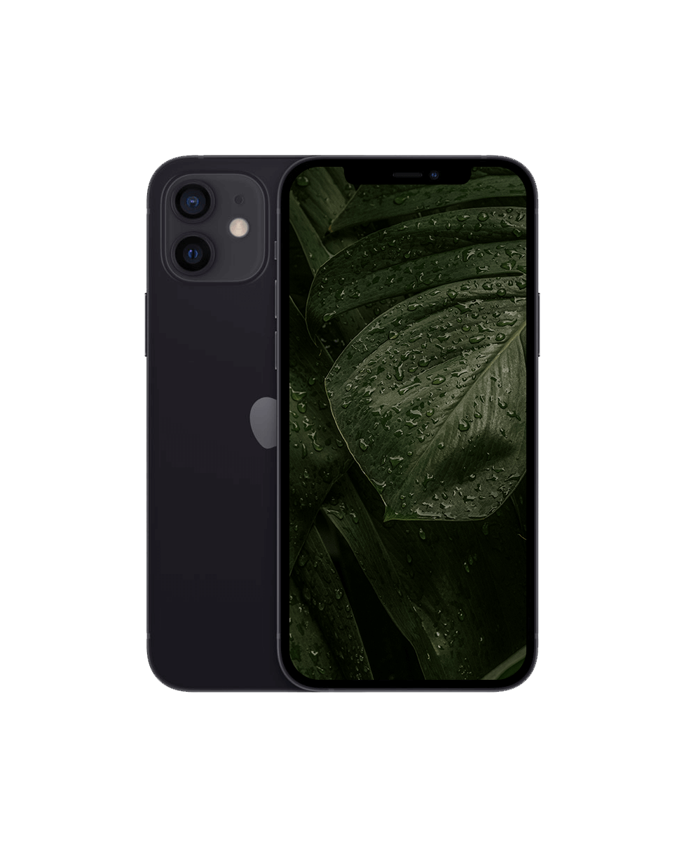 iPhone 12 Mini — Svart / / Okej skick