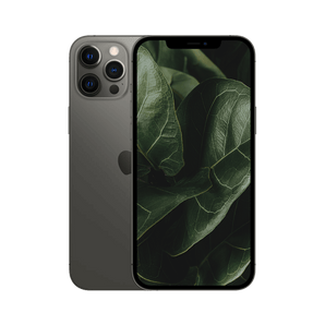Begagnad iPhone 12 Pro Max Grafit