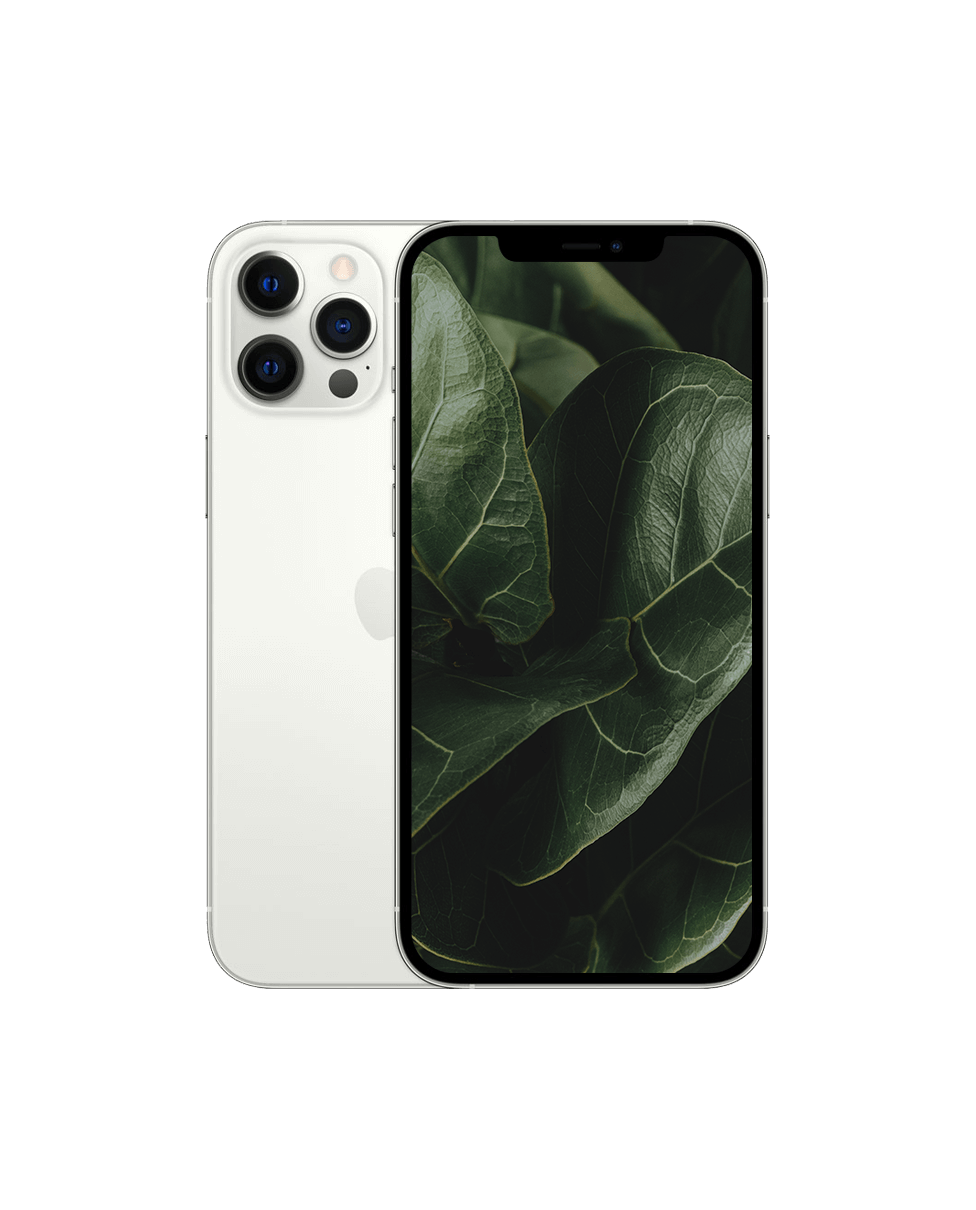 iPhone 12 Pro Max — Silver / / Okej skick