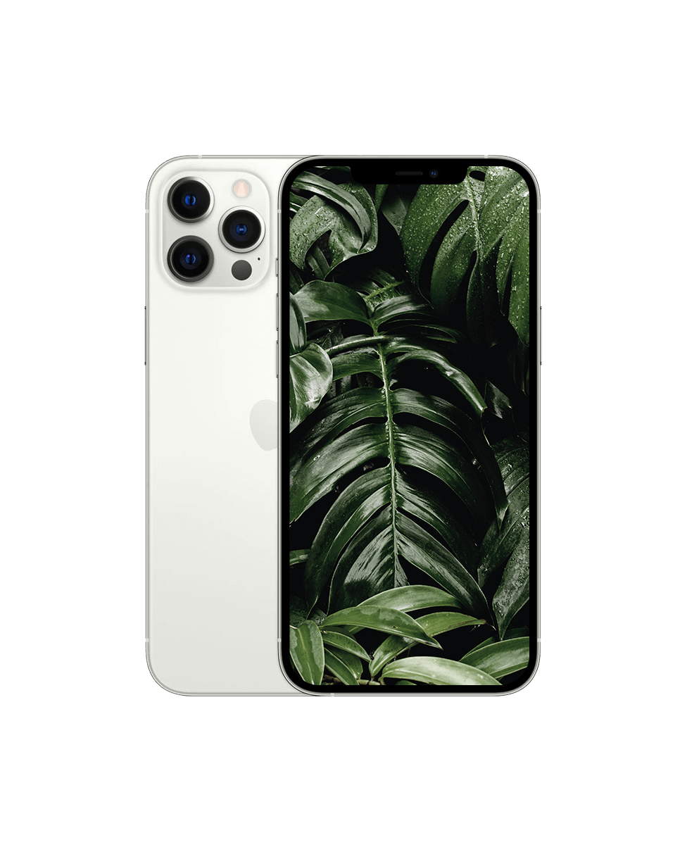 iPhone 12 Pro — Silver / / Okej skick