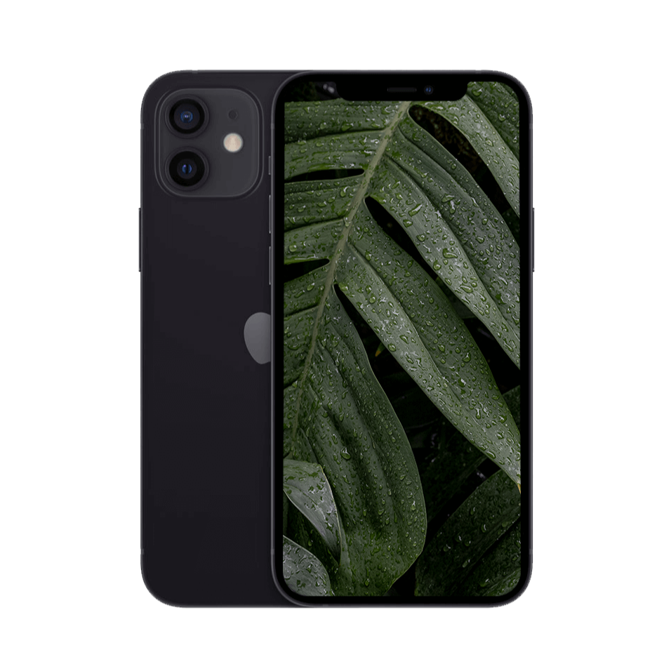 iPhone 12 — Svart / / Okej skick