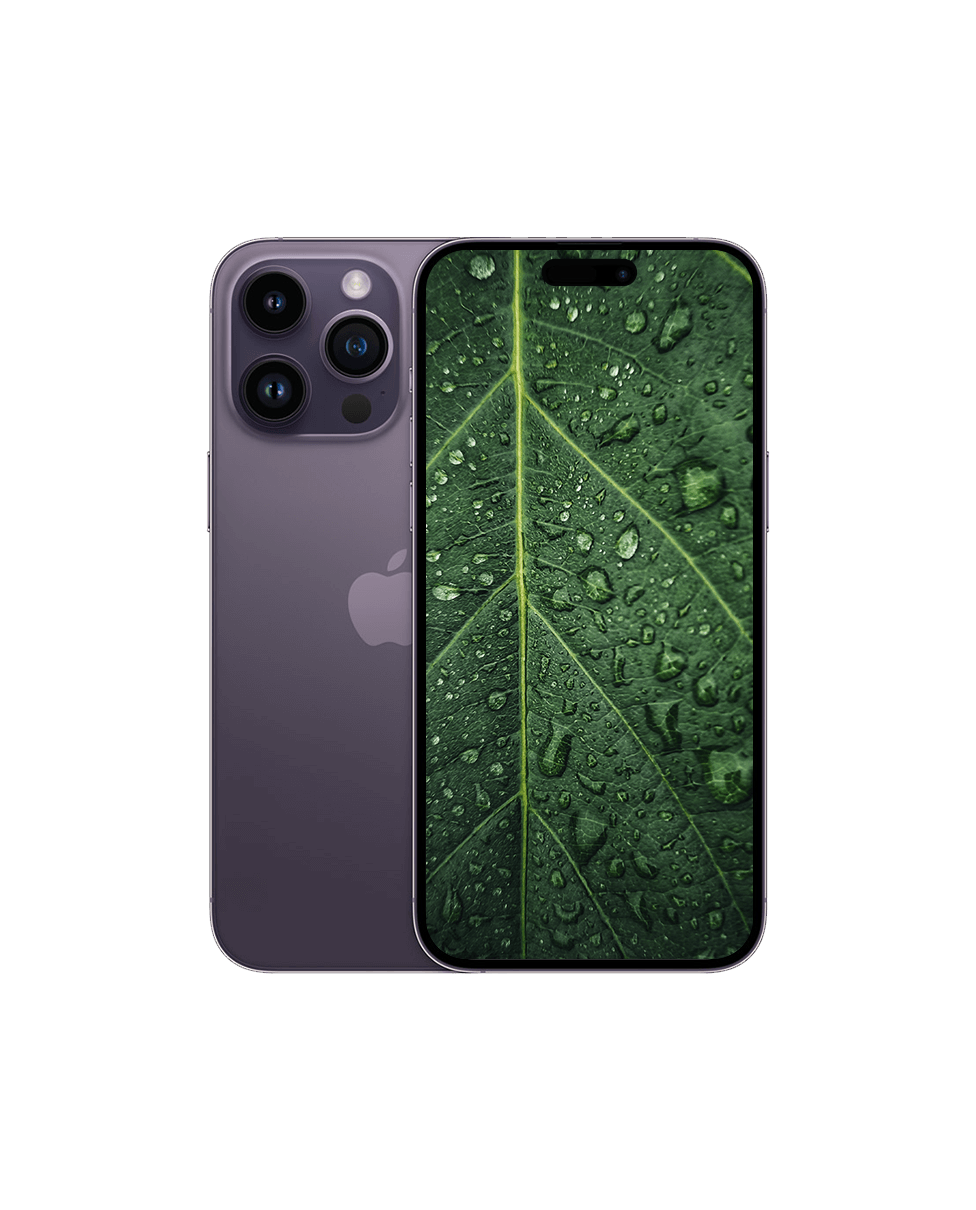 iPhone 14 Pro Max — Djuplila / / Okej skick