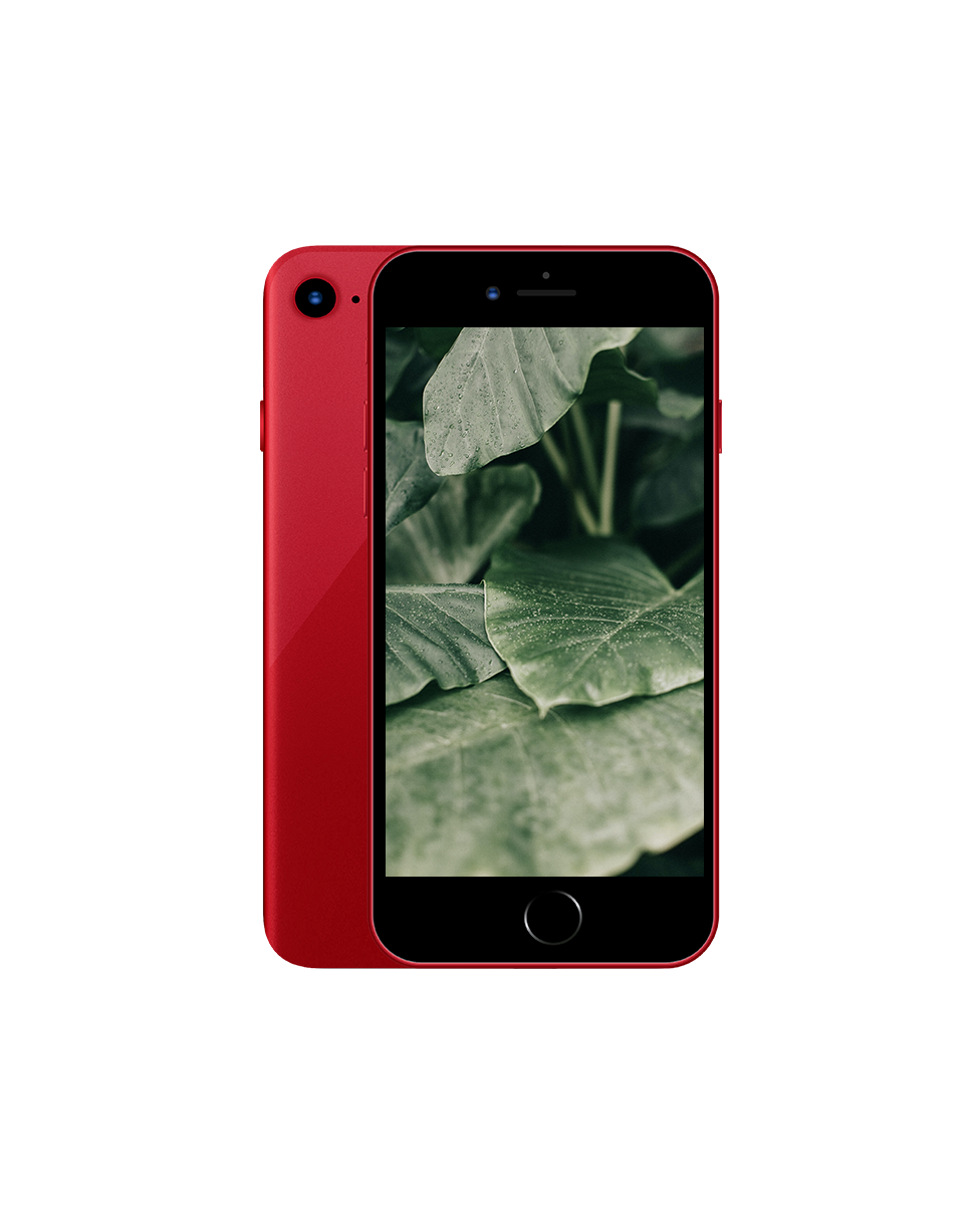 iPhone 8 — Röd / / Nyskick
