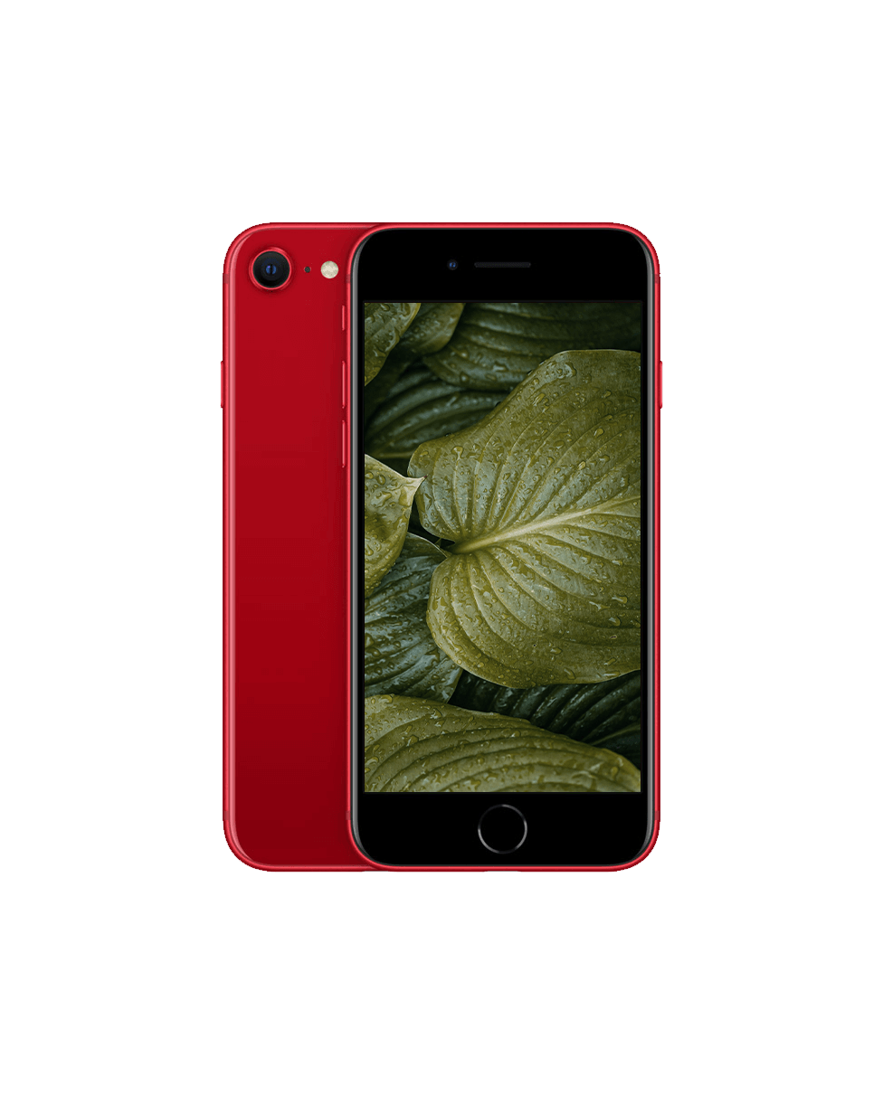 iPhone SE 2022 (3rd Gen) — Röd / / Okej skick