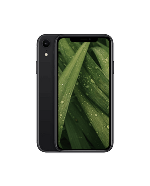 iPhone XR