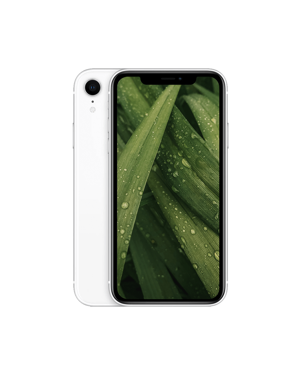 Used iPhone XR with 2 year warranty | Refurbly