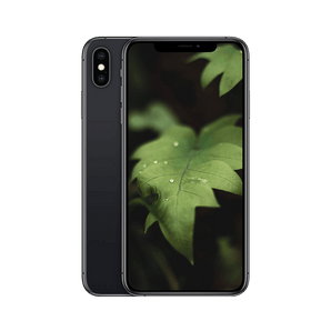 Begagnad iPhone XS Max Rymdgrå